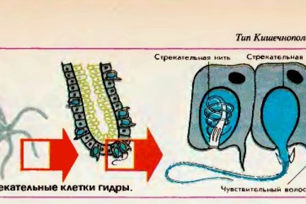 Кракен актуальное зеркало 2kmp