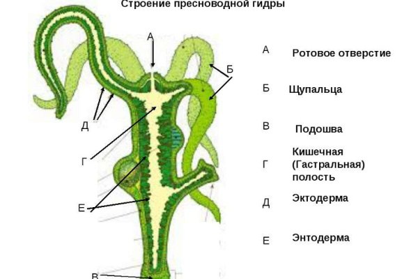 Кракен тг ссылка