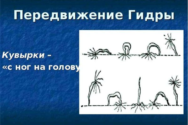 Kraken зеркало даркнет