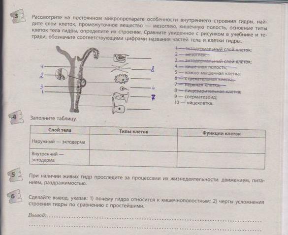 Ссылки на кракен com