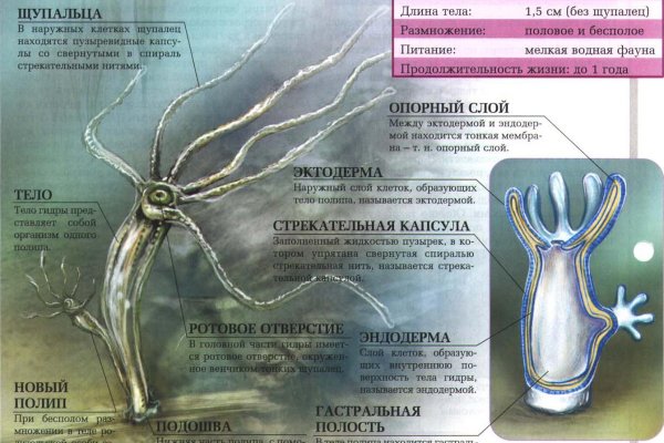Как найти актуальную ссылку на кракен